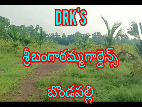శ్రీ బంగారమ్మ గార్డెన్స్